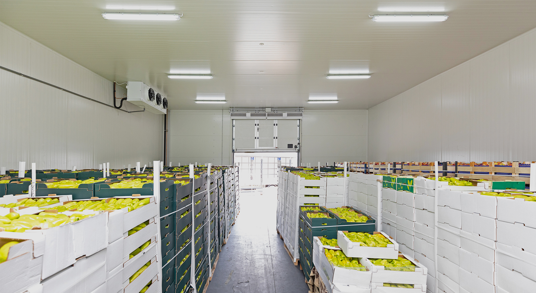  

                     A small produce storage facility in California for perishable items.


                     