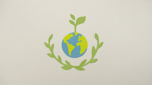 Non-toxic wine cellar insulating materials help the planet by being sustainable and low on toxic emissions